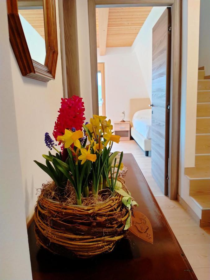 Antico Melo B&B Vignole エクステリア 写真