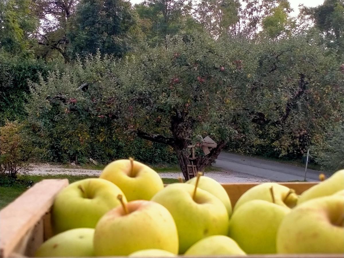 Antico Melo B&B Vignole エクステリア 写真